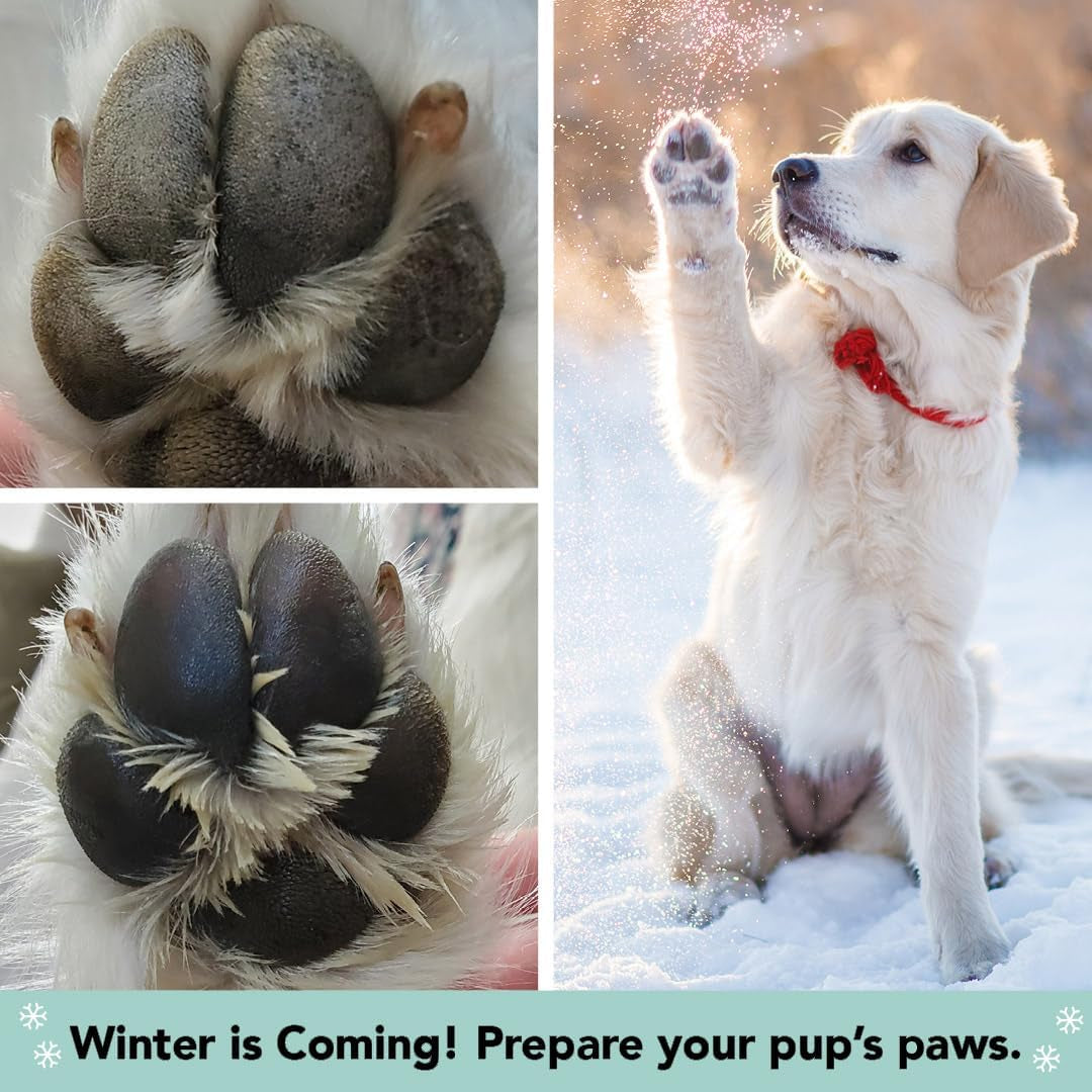 Pawtection Dog Paw Balm, Protects Paws from Hot Surfaces, Sand, Salt, & Snow, Organic, All Natural Ingredients