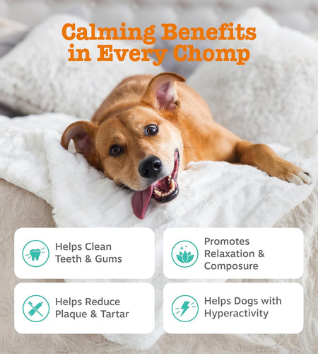 Calming Orastix for Dogs - Dental Sticks for Stress and Anxiety Relief with Hemp Melatonin Chamomile Dog Tartar Teeth Cleaning Calm Composure for Fireworks and Thunderstorms