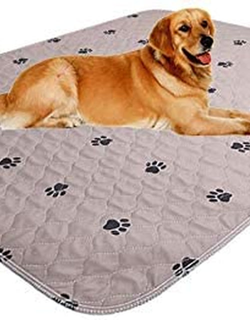 Load image into Gallery viewer, Reusable Pee Pad + Free Puppy Grooming Gloves/Quilted, Fast Absorbing Machine Washable Dog Whelping Pad/Waterproof Puppy Training Pad/Housebreaking Absorption Pads

