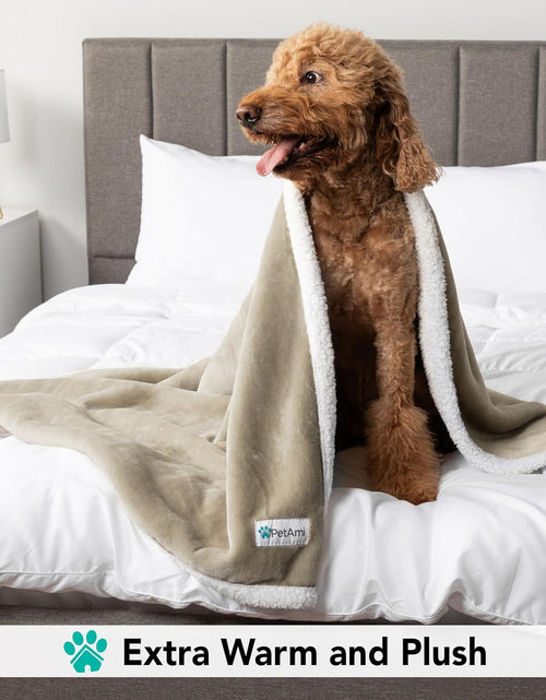 Load image into Gallery viewer, Dog Blanket for Bed, XL Pet Blanket Large Dogs, Fleece Furniture Couch Cover Protector Sofa Car Crate Kennel, Soft Sherpa Cat Throw Plush Reversible Washable, Twin 60X80 Taupe
