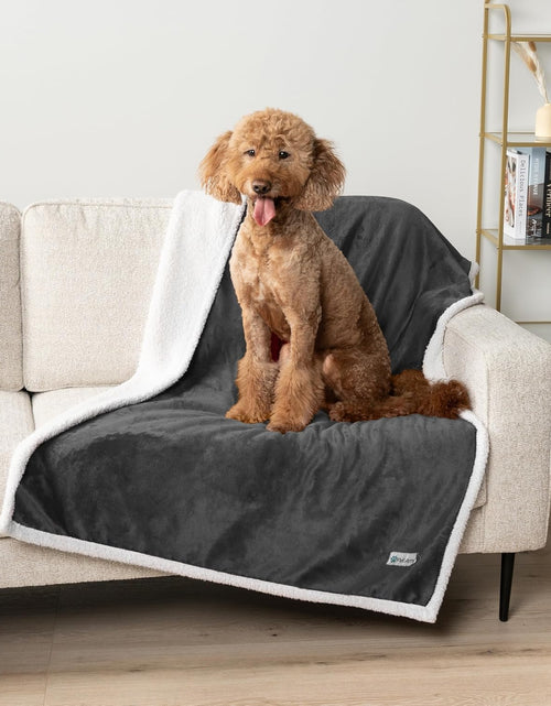 Load image into Gallery viewer, Waterproof Dog Blanket for Small Medium Dog, Pet Puppy Blanket Couch Cover Protection, Sherpa Fleece Cat Blanket Washable Throw Couch Sofa Bed Furniture Protector Reversible Soft 29X40 Charcoal
