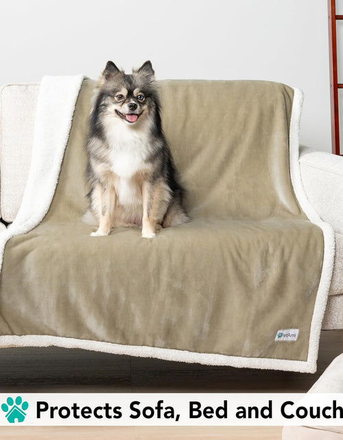 Load image into Gallery viewer, Dog Blanket for Bed, XL Pet Blanket Large Dogs, Fleece Furniture Couch Cover Protector Sofa Car Crate Kennel, Soft Sherpa Cat Throw Plush Reversible Washable, Twin 60X80 Taupe

