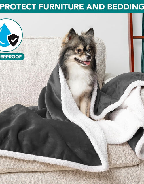 Load image into Gallery viewer, Waterproof Dog Blanket for Small Medium Dog, Pet Puppy Blanket Couch Cover Protection, Sherpa Fleece Cat Blanket Washable Throw Couch Sofa Bed Furniture Protector Reversible Soft 29X40 Charcoal
