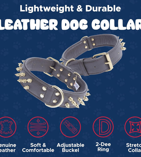 Genuine Leather Spiked Dog Collar | Multi- Line Metal Spikes | Soft and Strong Padded Leather | Stainless Steel | 2 Dee Rings | Multiple Sizes | Amsterdam Spiked Collection by